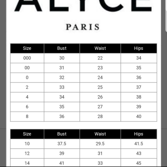 Alyce Paris Short Silky Strapless Chiffon Dress - Picture 8 of 8